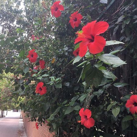 Apartamentо Menorcа Апартаменты Менорка Valencia Buitenkant foto